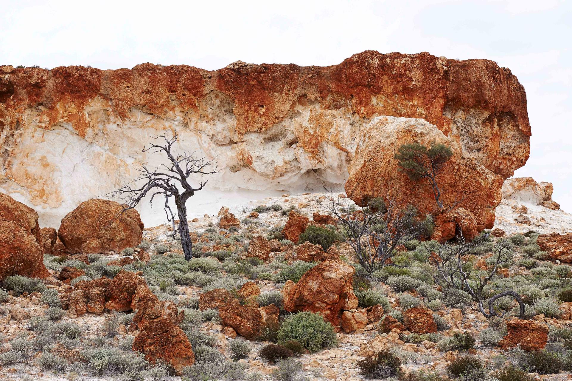 Darlot Loop Terraces